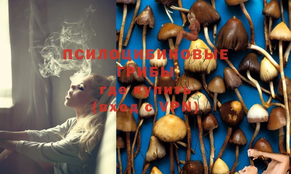 a pvp Верхний Тагил