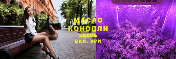 стафф Бородино