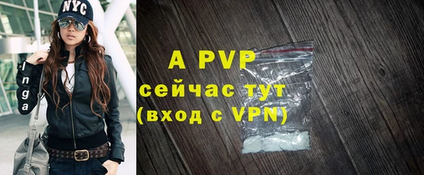 PSILOCYBIN Верея