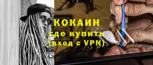 индика Бронницы