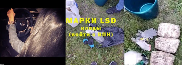 PSILOCYBIN Верея