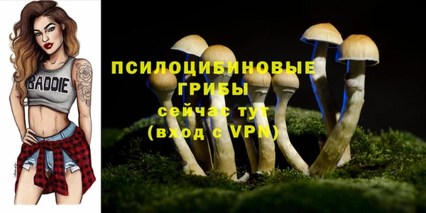 a pvp Верхний Тагил