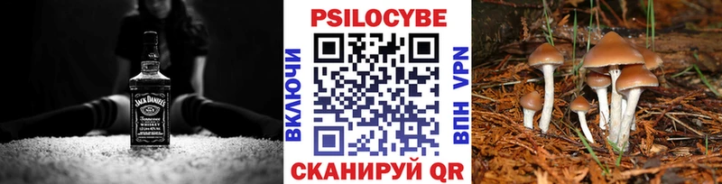 Псилоцибиновые грибы Psilocybine cubensis  Томари 